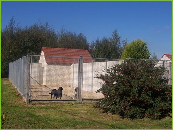 pension pour chien tours 37