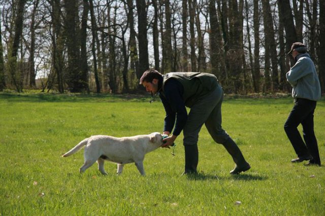 Babou qui rapporte à papa