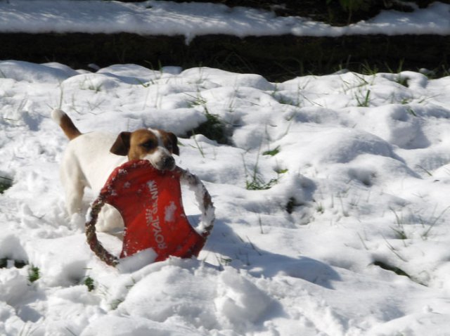 Jo qui découvre les joies de la neige