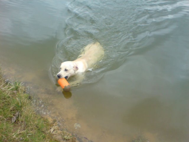  Babou rapport à l\'eau